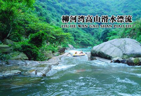 海盗寻宝记选关版